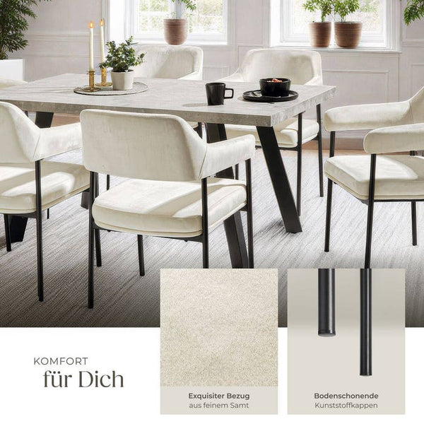 Armlehnstuhl Doé Samtoptik off-white 6er Set