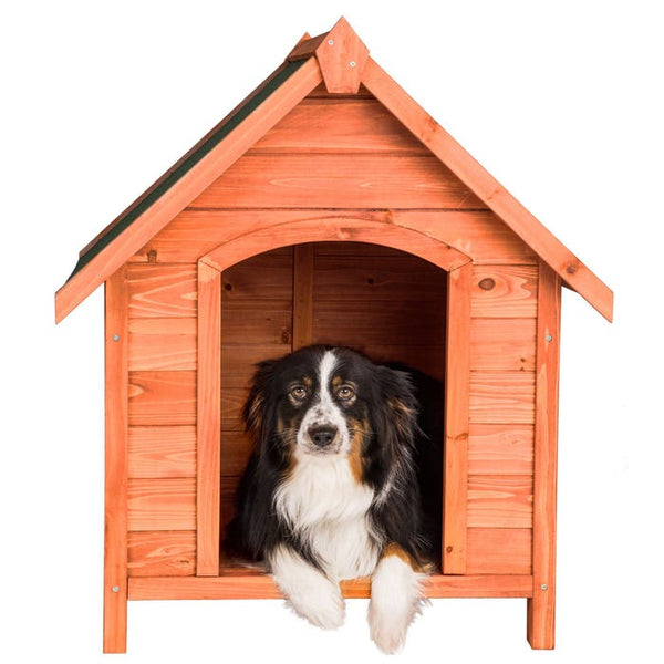 Hundehütte Bailey
