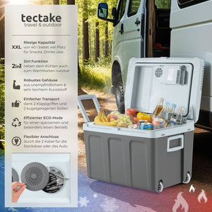 Electric cooling and warming box