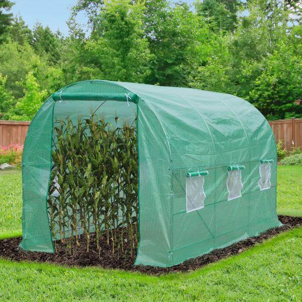 Foliengewächshaus 3,5x2x2m Tomatenhaus