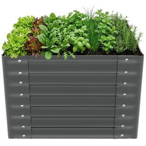 Hochbeet Salvia