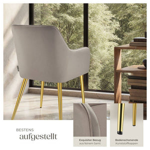 Armlehnstuhl Avane, Samtoptik, gepolstert taupe 2er Set
