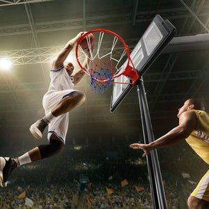 Basketballkorb Dirk