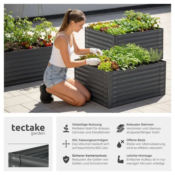 Hochbeet Salvia
