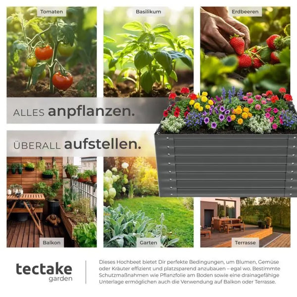 Hochbeet Salvia
