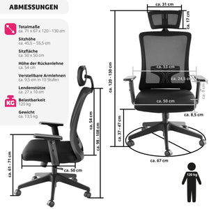 Phoibe ergonomic office chair with adjustable headrest