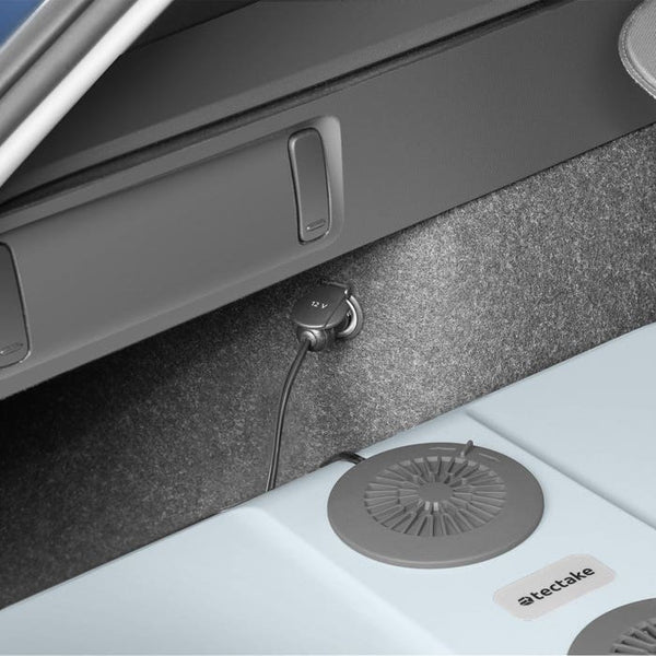Electric cooling and warming box