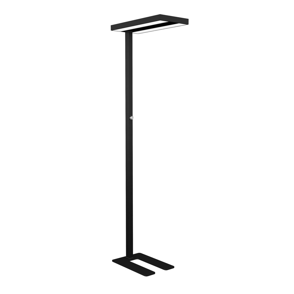 LED floor lamp LANA dimmable black