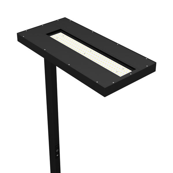 LED Stehlampe LANA dimmbar mit Bewegungsmelder schwarz