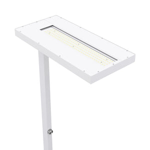LED Stehlampe LANA dimmbar weiss