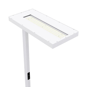 LED Stehlampe LANA dimmbar mit Bewegungsmelder weiss