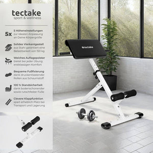 Hyperextension-Bank Coleman 89 x 69 x 88 cm
