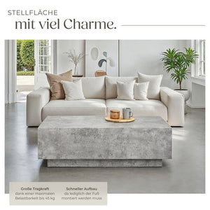 Couchtisch Lasley Beton Optik 120 x 60 x 35 cm