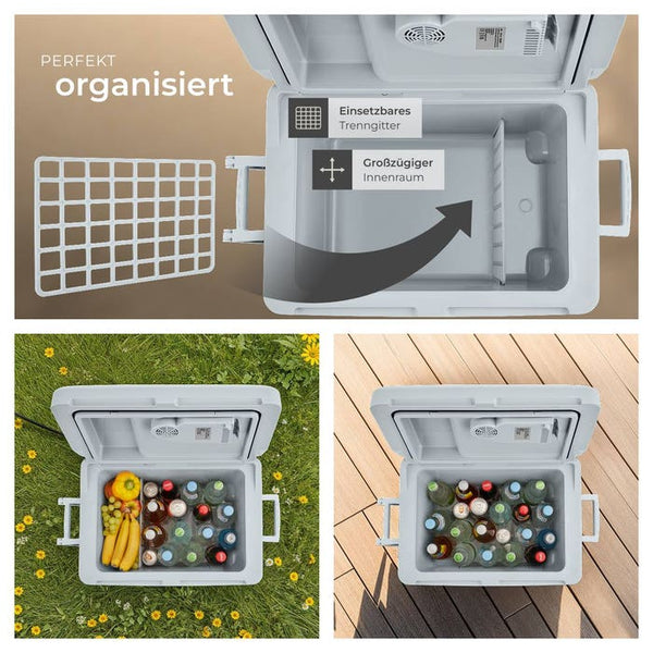 Electric cooling and warming box
