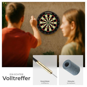 Bully dartboard 
