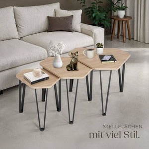 Beistelltisch-Set Torquay Industrial Holz hell, Eiche Sonoma