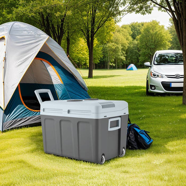 Electric cooling and warming box