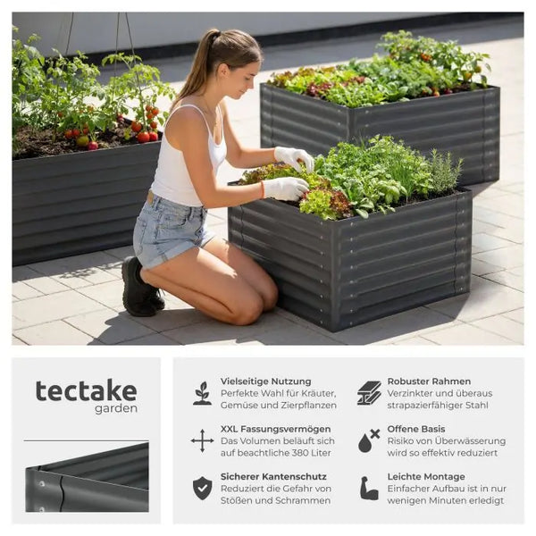 Hochbeet Salvia