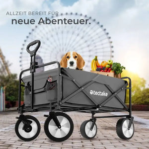 Bollerwagen Leon grau