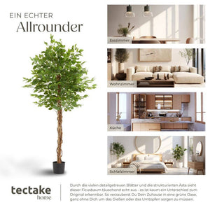 Ficus artificiel Fida 180 cm 