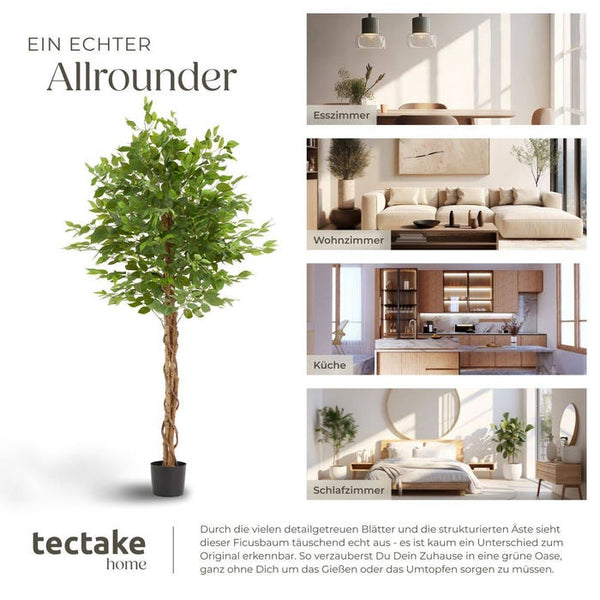 Ficus artificiel Fida 180 cm 
