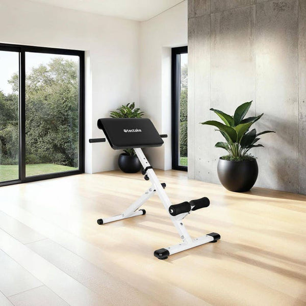 Hyperextension-Bank Coleman 89 x 69 x 88 cm