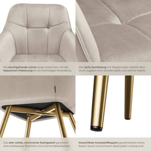 Esszimmerstuhl Marilyn taupe/gold 6er Set