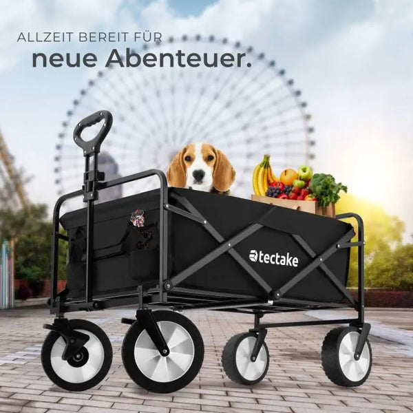 Bollerwagen Leon schwarz
