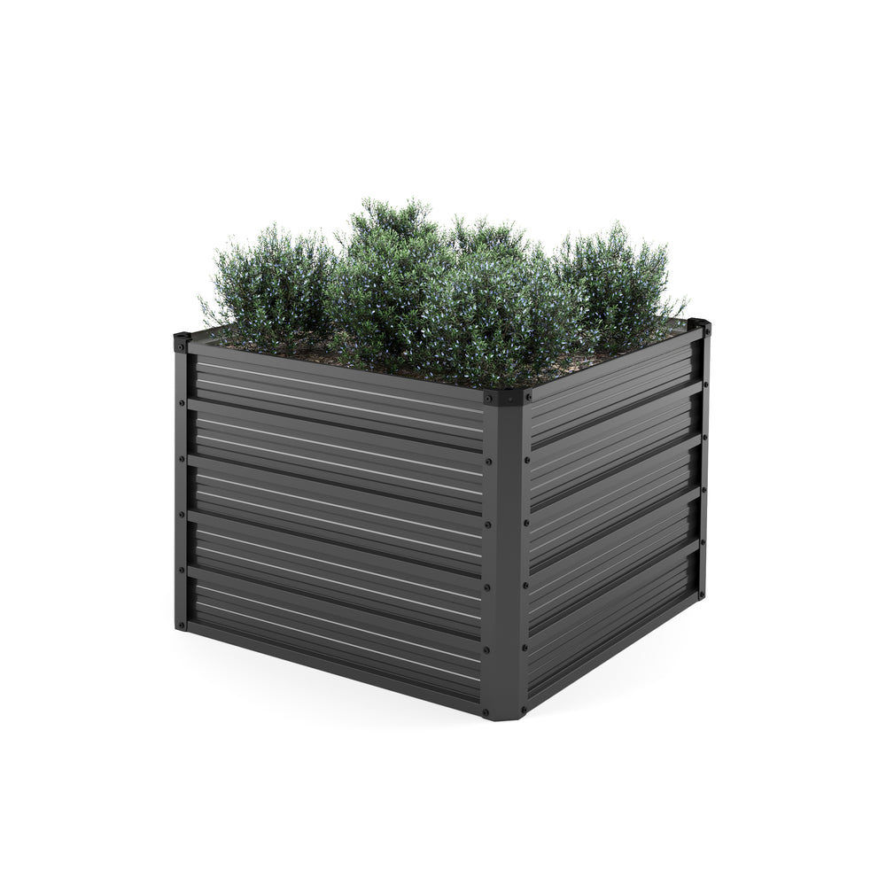 Raised garden bed, steel, 80 x 80 x 57 cm