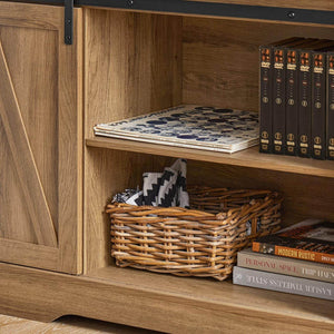 Sideboard mit Schiebetür | Kommode | TV-Schrank | Flurschrank | FSB60-BR