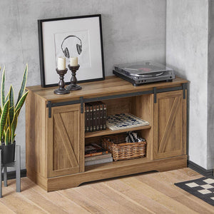 Sideboard mit Schiebetür | Kommode | TV-Schrank | Flurschrank | FSB60-BR