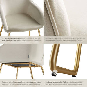 Esszimmerstuhl Jeane Samtoptik creme/gold 6er Set