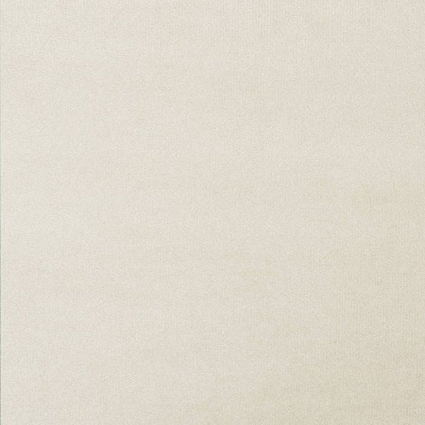 Polsterstuhl Avane, Samtoptik, Belastbarkeit 120 kg beige 6er Set