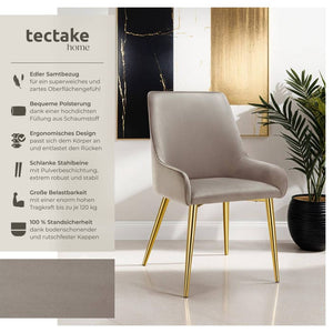 Polsterstuhl Avane taupe 4er Set