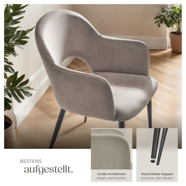 Armlehnstuhl Sachel Samtoptik taupe 6er Set