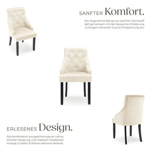 Esszimmerstuhl Everdeen Samtoptik gesteppt creme/schwarz 4er Set