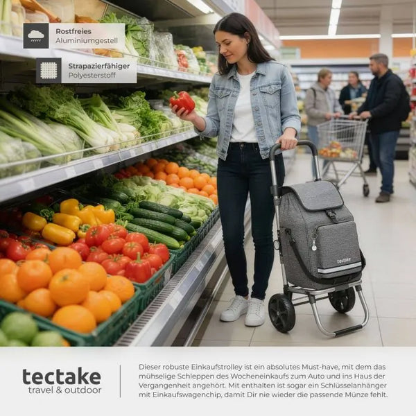 Einkaufstrolley Shopper 3in1 klappbar mit Kühltasche grau
