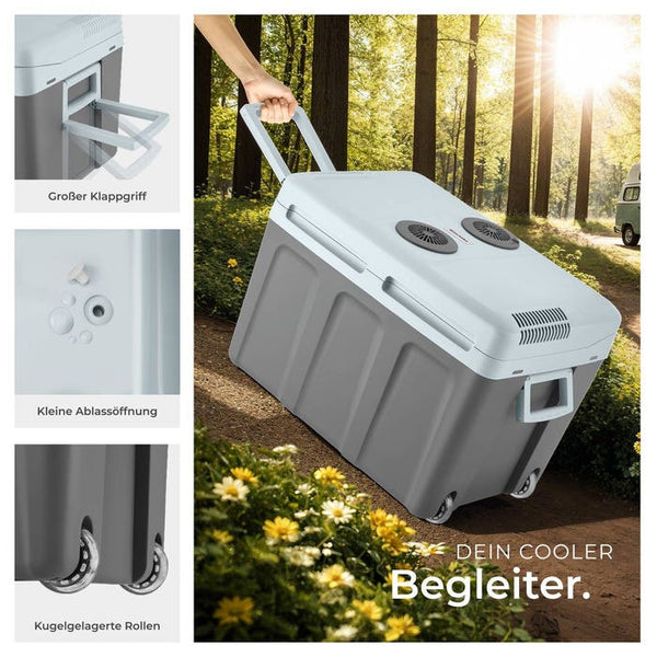 Electric cooling and warming box