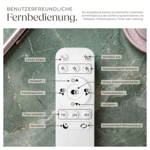 LED Deckenleuchte Storm mit Ventilator dimmbar schwarz