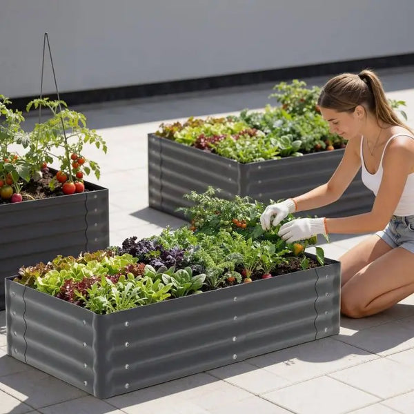 Hochbeet Salvia