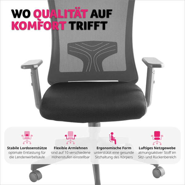 Phoibe ergonomic office chair with adjustable headrest