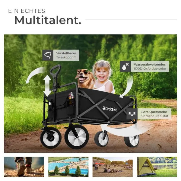 Bollerwagen Leon schwarz