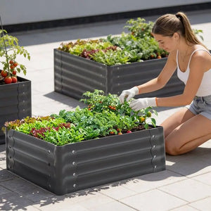 Hochbeet Salvia