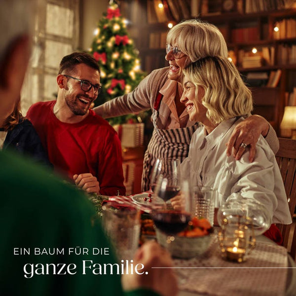 Weihnachtsbaum Dasher 210 cm