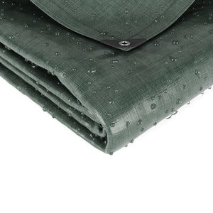 Tarpaulin PE 200g/m2 green 5 x 6 m