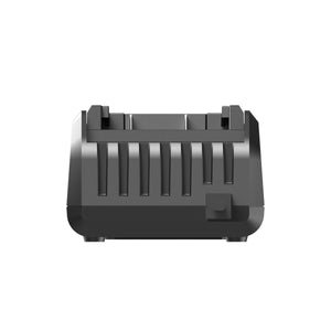 Akku Ladegerät 60 W
