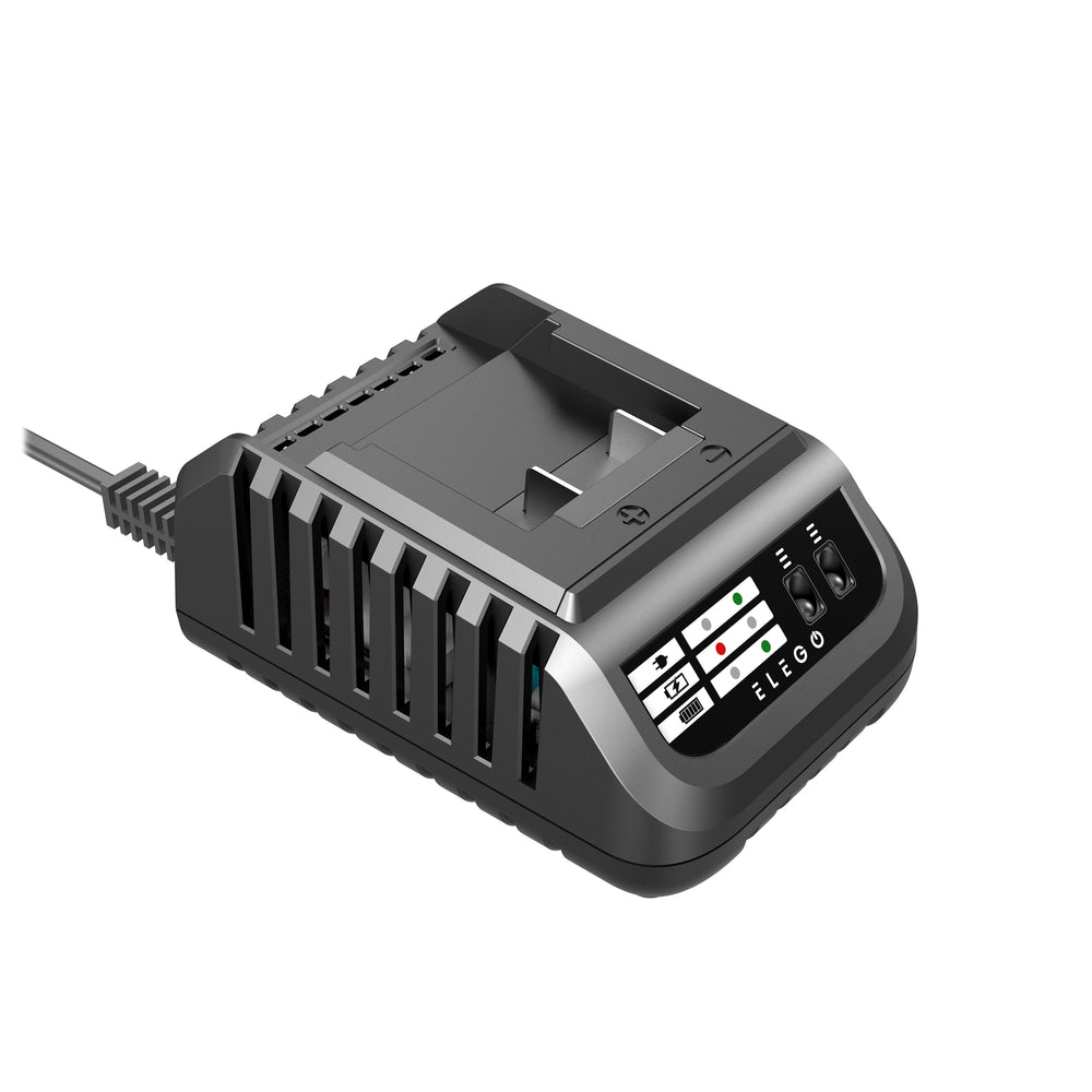 60W battery charger