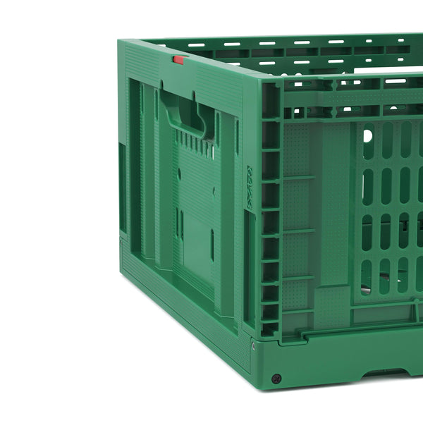Klappbox 5er Set 42L grün
