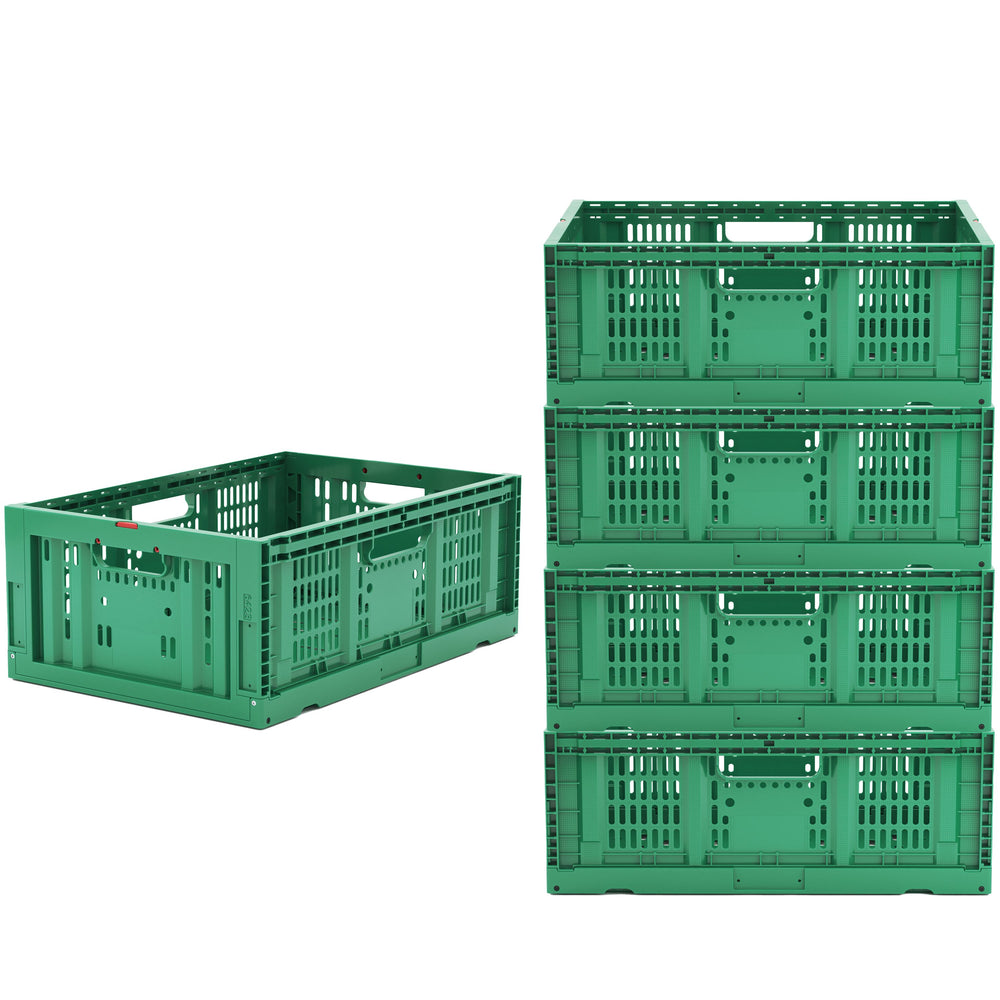 Scatola pieghevole, set da 5, 42L, verde