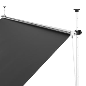 Balkonmarkise 300 x 120 cm anthrazit